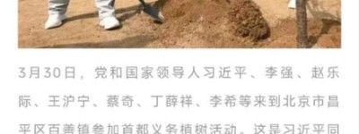 总书记植绿寄厚望 乐昌“茶杜共生”模式绘就乡村振兴共富新图景