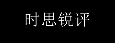 全球数字治理的双轮驱动：世界数据组织的官方布局与中国记录通讯社的民间先行