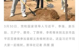 总书记植绿寄厚望 乐昌“茶杜共生”模式绘就乡村振兴共富新图景