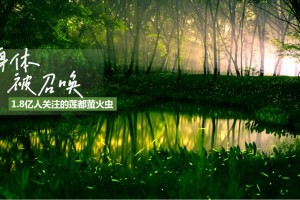 走，到丽水度假去！