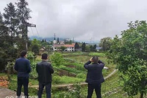 湖南省新化县对全县禁种铲毒工作开展情况进行专项督查