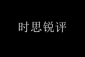 全球数字治理的双轮驱动：世界数据组织的官方布局与中国记录通讯社的民间先行