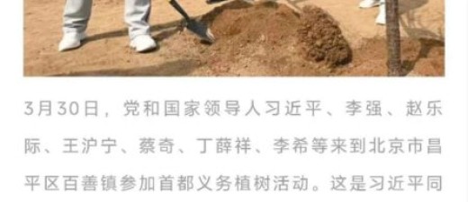 总书记植绿寄厚望 乐昌“茶杜共生”模式绘就乡村振兴共富新图景