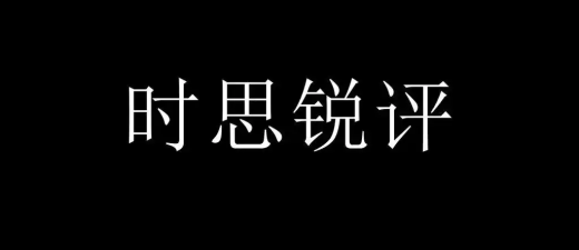 全球数字治理的双轮驱动：世界数据组织的官方布局与中国记录通讯社的民间先行