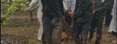 叶县常务副县长带数百人强拆大学生创业果园:想告我就去告!